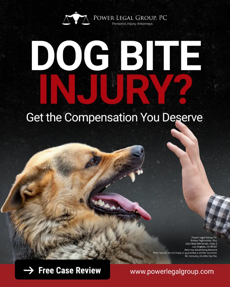 Los Angeles Dog Bite Lawyers - Call 800-323-7693 | Power Legal Group